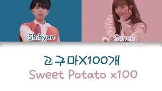 Shihyun & Sohee - 고구마X100개 (Sweet Potato x100) Lyrics [Color Coded Han|Rom|Eng]
