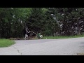 MacKissic Mighty Mac Wood Chipper
