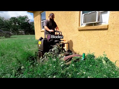 NIGHTMARE CITY VIOLATION CUT for FREE - EXTREMELY OVERGROWN property!