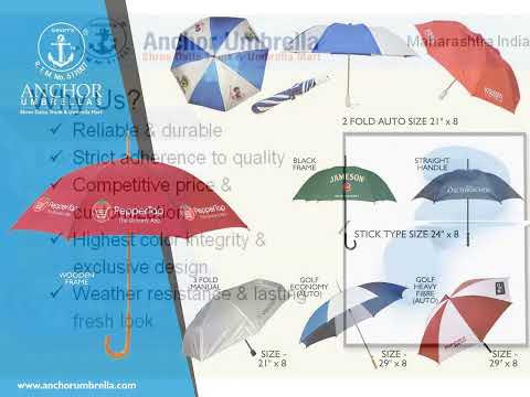 Two Fold Auto Umbrella Black Silver
