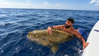 Download lagu Catching a MONSTER Grouper w/@Capt.Jasondiver & @soosh_  mp3