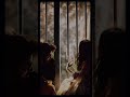 Nee Oru Puzhayay WhatsApp Status