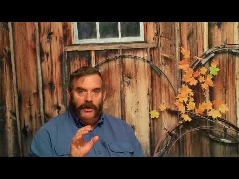 Blend Club Review; Sept. 2017, Dunhill Early Morning Pipe (EMP)