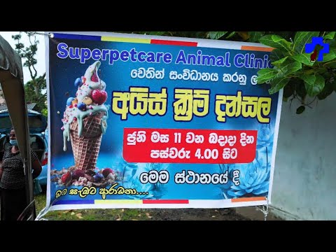 Superpetcare animal clinic Ice cream Dasnsala