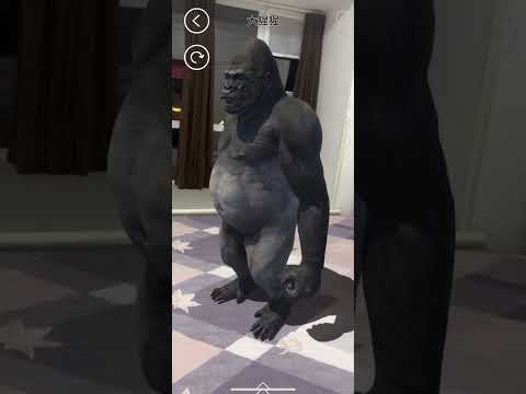 AR Animals