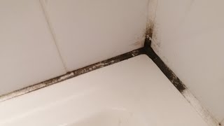 how to clean mouldy silicone