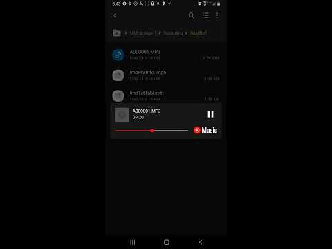 Conversations With Sean M - Part 9 - Final Episode 2022!