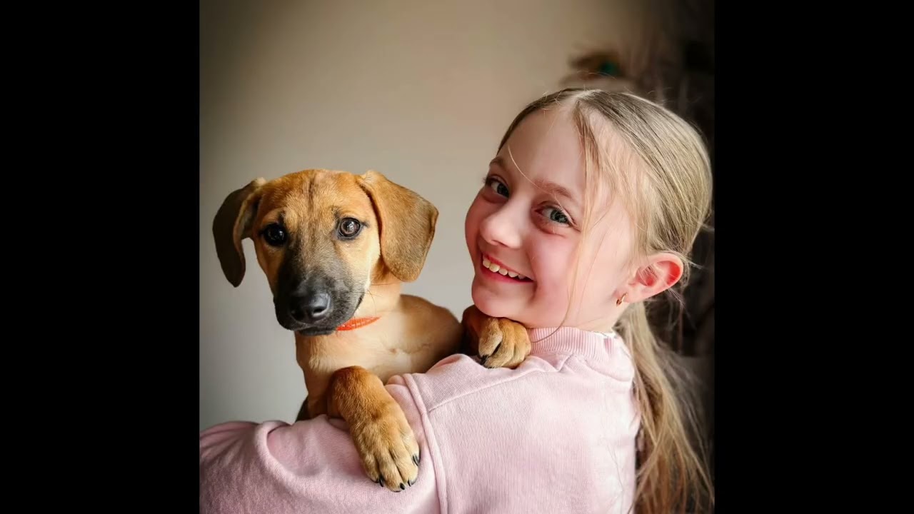 FREYA, a Adoptable mixed breed in Richmond Hill , ON video 1/6