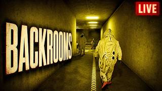 今日はバックルームを散歩しよう！エンティティ出てくるぞ！ - Backrooms: The Labyrinth