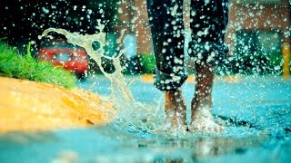 A modo tuo - Ligabue