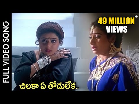 Subhalagnam Movie || Chilaka Ye Thodu Leka Video Song || Jagapathi Babu, Aamani || Shalimarcinema