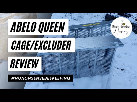 Abelo Queen Cages Demonstration and Review