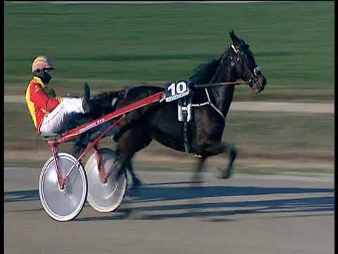 Trotto 28/12/2018 - 1ª corsa