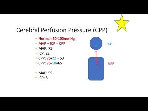 Introduction to Intracranial Pressure