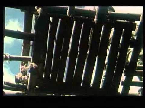 Portés disparus 2, Pourquoi? - Bande d'annonce VF