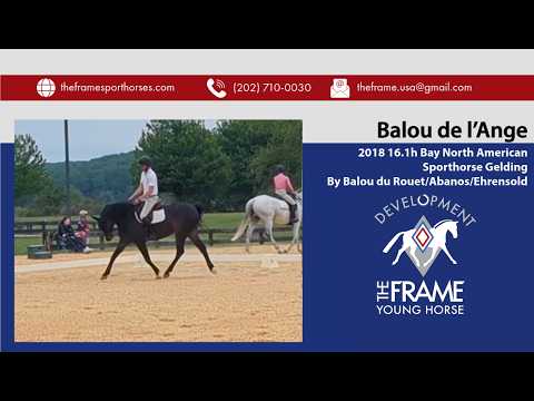 Balou video 5