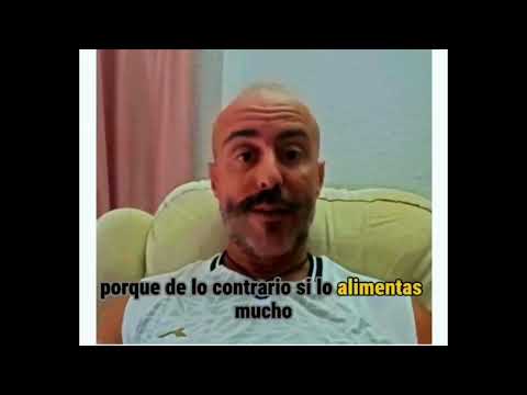 Juan Carlos Pérez Hinojosa-5