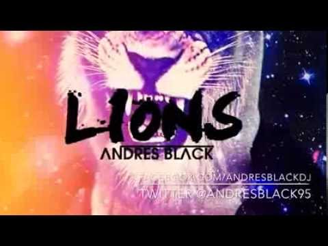 Andres Black - Lions