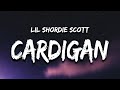 I Wanna Take A Pic With Cardi B Inside My Cardigan Lil Shordie Scott Lyrics TikTok Song