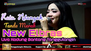 Download lagu Siska Valentina - Tanda Merah - NEW ELBRAS live kedung banteng Tanggulangin mp3 Download lagu Siska Valentina - Tanda Merah - NEW ELBRAS live kedung banteng Tanggulangin mp3