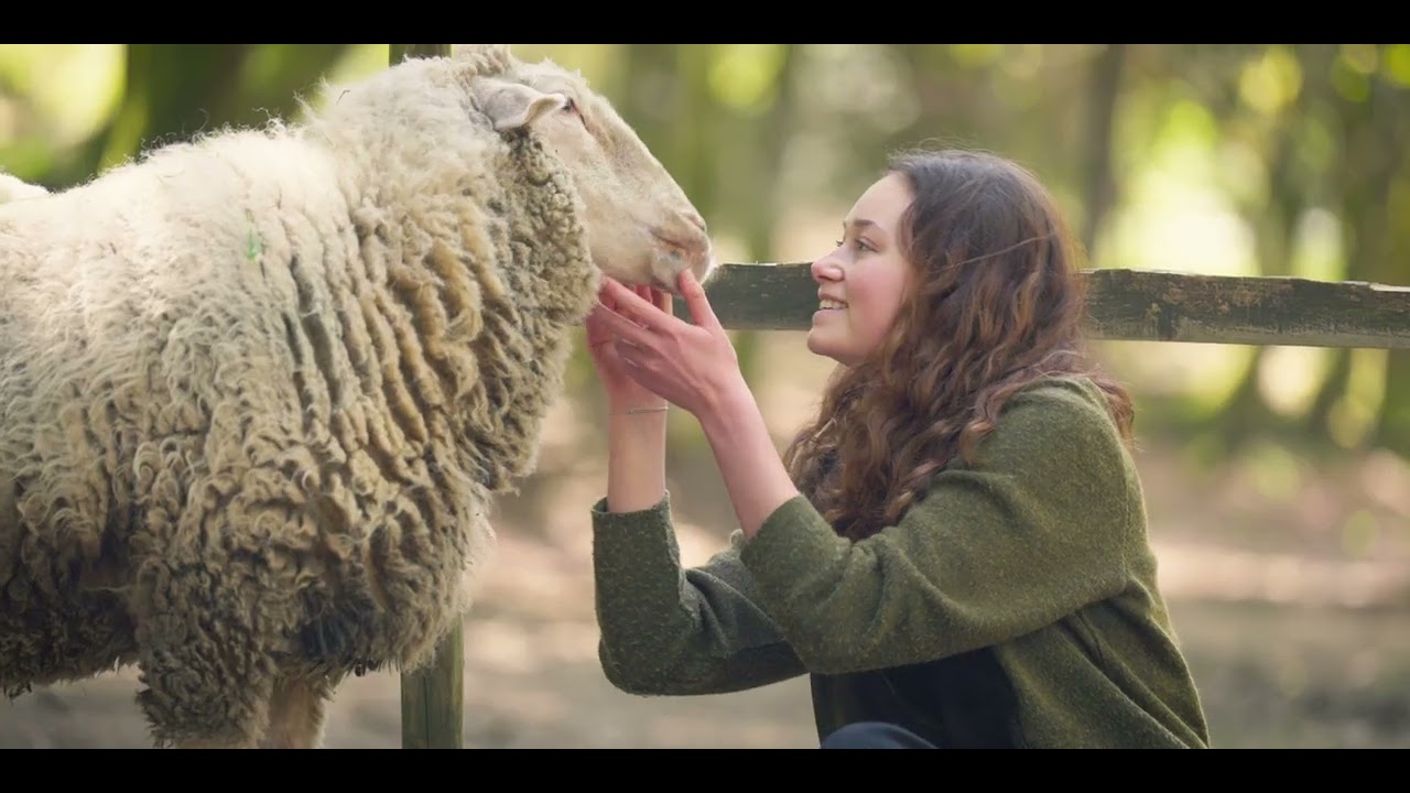 Carne: The Unsustainable Footprint Trailer Thumbnail