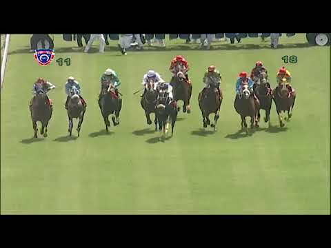 RM1 R1 - Right To Tango