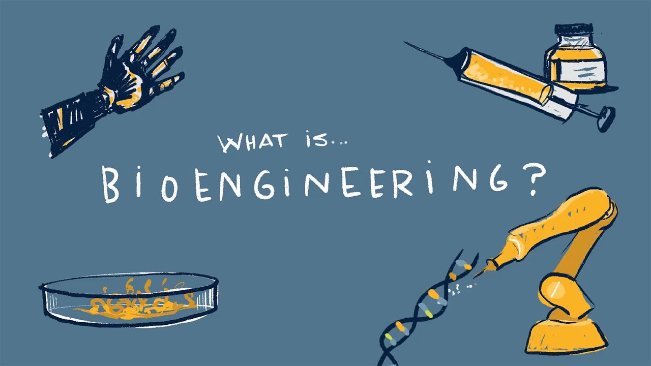 Girls in Engineering: Bioengineering