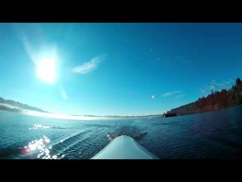 Rowing scenery - Shelton to Bayshore at high tide