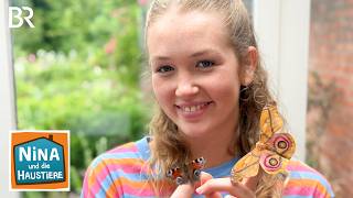 Schmetterling | Information für Kinder | Nina und die Haustiere | BR