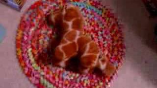 Stopmotion Christine Fellows - What Makes the Cherry Red