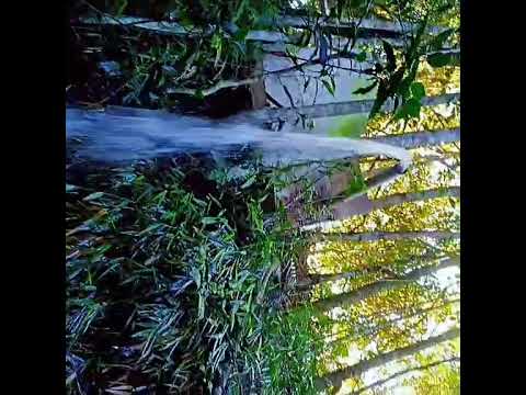 CACHOEIRA PERTO DE GAMELEIRA GOIÁS 2026.