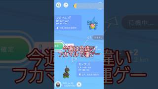 色100が欲しい‼️色違いでキラ運ゲー🐲✨今週のなかよしフライデー🤔💦 #ポケモンgo #pokemongo #pokemongoshorts