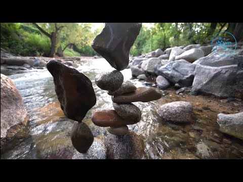Tipping the Scale | Rabbi Meir Simcha Sperling