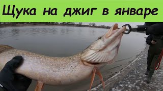Рыбалка в бронницах москва река 2020