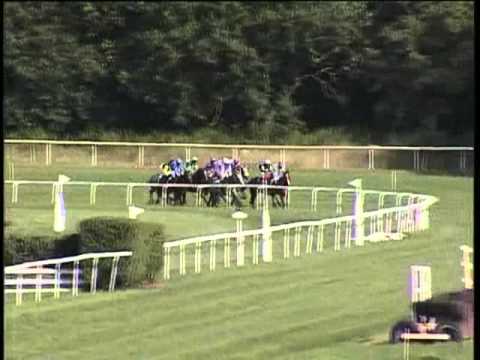 Les Courses Hippiques 2013   22 09 2013   ROYAN LA PALMYRE   Royan Atlantique   PRIX DE SAINT PALAIS