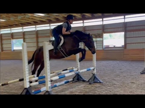 Fifi video 3