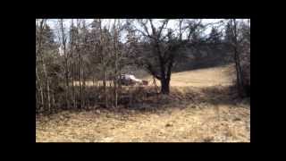 preview picture of video 'LADA SAMARA offroad'