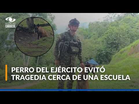 Perro del Ejército detectó explosivo cerca de una escuela en el norte de Antioquia