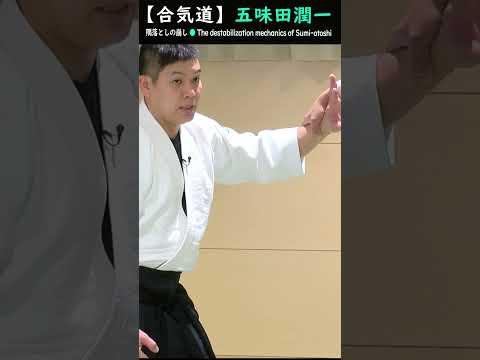 五味田潤一:隅落としの崩しのメカニズム【解説】#short #aikido #aikidotechniques #aikidoaikikai #aikidolife #legend #budo .