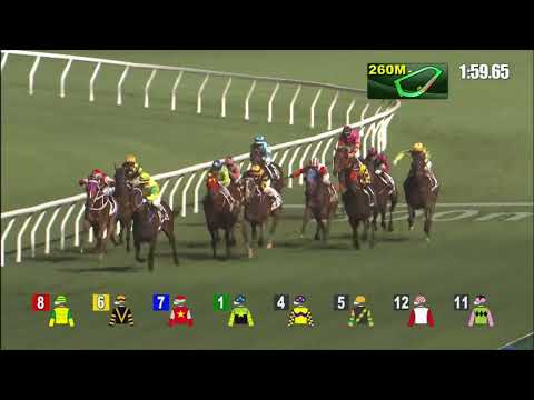 23/3/2022 (520) Sky Gem - Vincent Ho