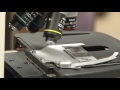 FFA Viewing Parasites Under A Microscope