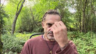Saturday Woodland WooWoo – Normalising Spirituality.