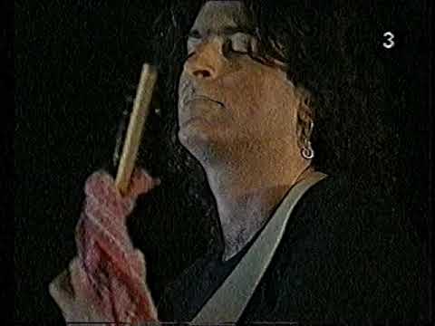 ארז נץ - רוח צפונית 1994