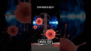 송전탑 근처에 살면 전자파 때문에 암 걸린다?