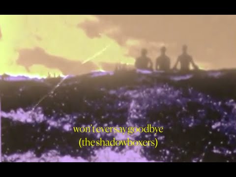 Video thumbnail for Won’t Ever Say Goodbye