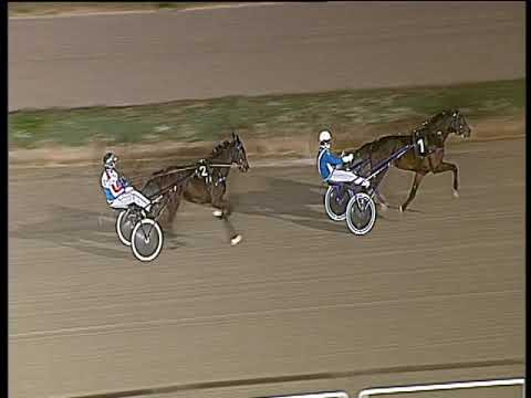 Trotto 03/01/2020 - prova di qualifica