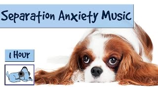 Cure Separation Anxiety in Dogs! Stop your Anxious Dog Suffering. Resting Frequency Dog Music
