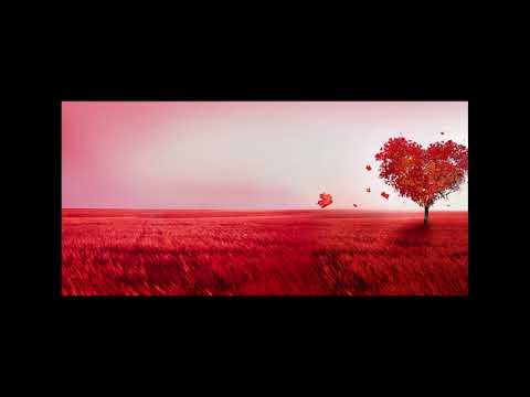 Clip For Tzipi - Yesh Ey Sham