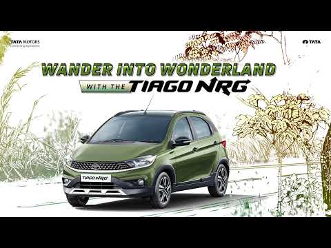 Tiago NRG | Adventure Series | Wander Into Wonderland