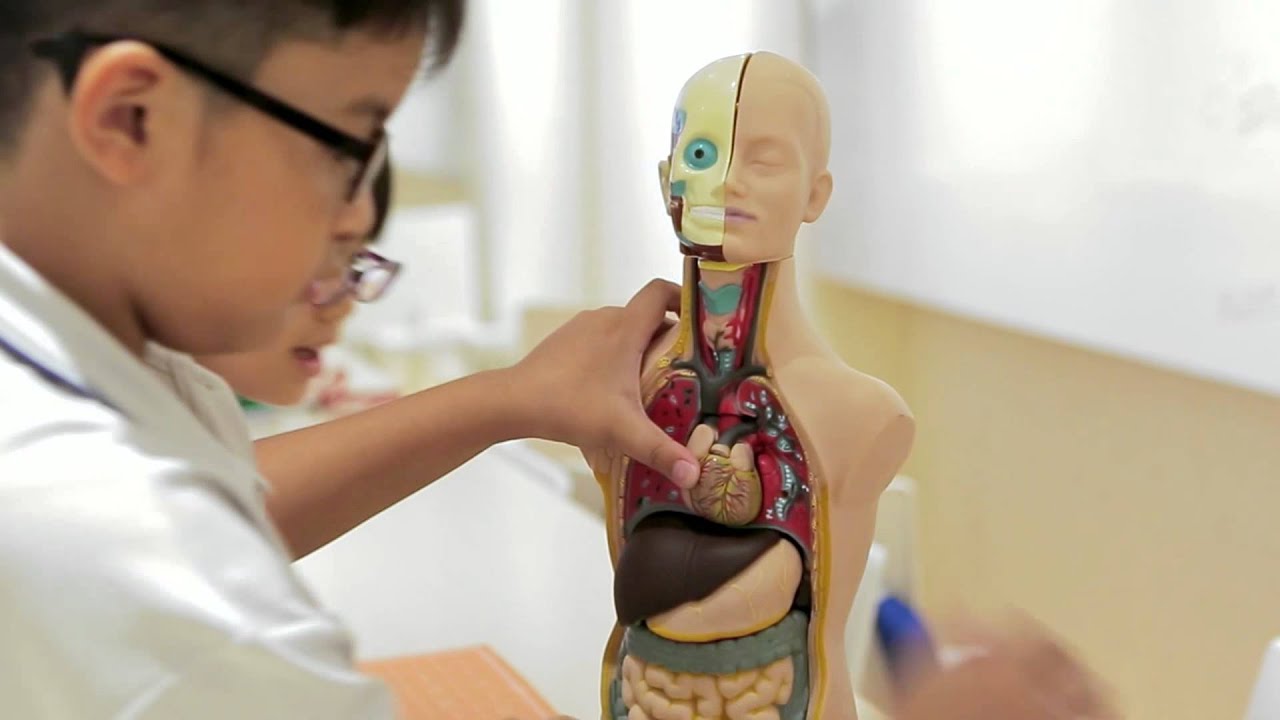 The Learning Lab Experience